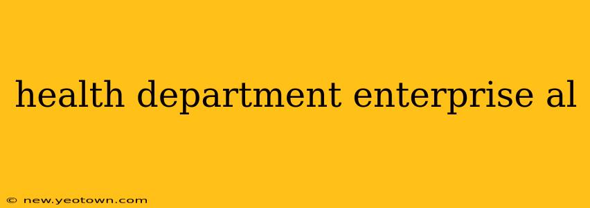 health department enterprise al
