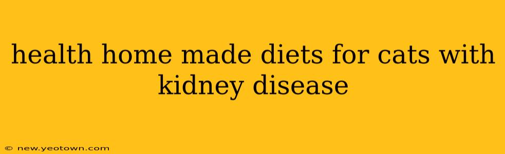 health home made diets for cats with kidney disease