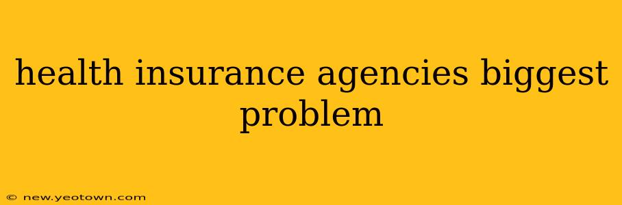 health insurance agencies biggest problem