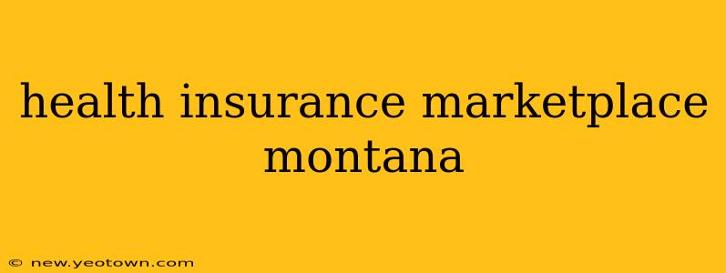 health insurance marketplace montana