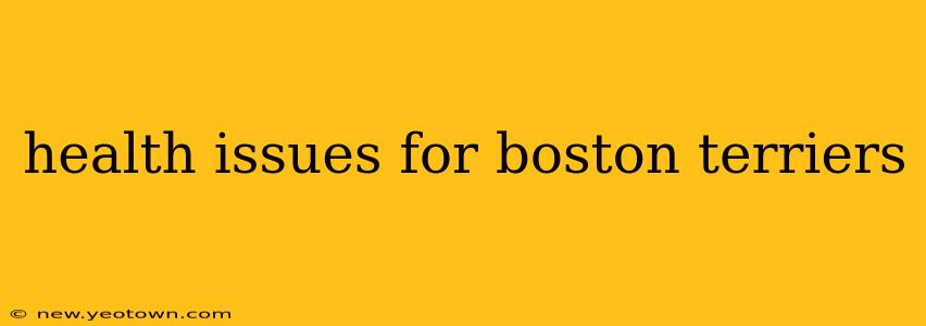 health issues for boston terriers
