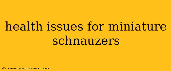 health issues for miniature schnauzers