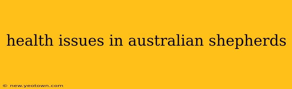 health issues in australian shepherds