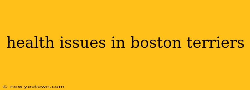 health issues in boston terriers