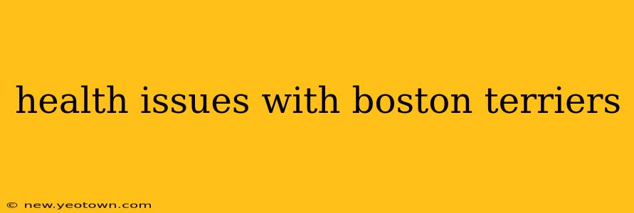 health issues with boston terriers