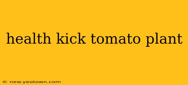 health kick tomato plant