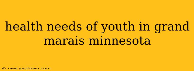 health needs of youth in grand marais minnesota