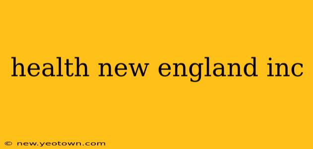 health new england inc