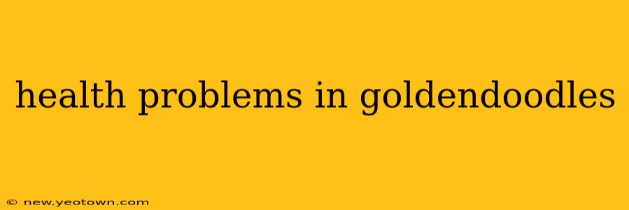 health problems in goldendoodles