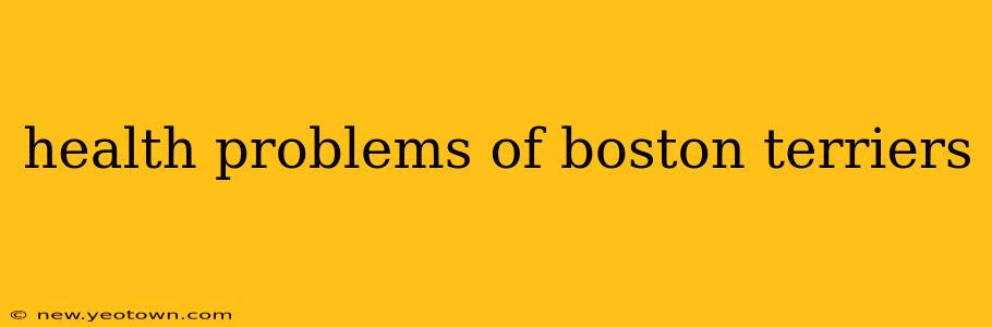 health problems of boston terriers