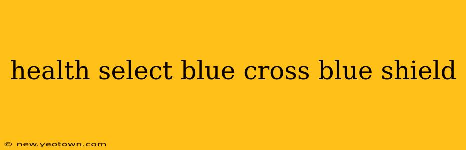health select blue cross blue shield
