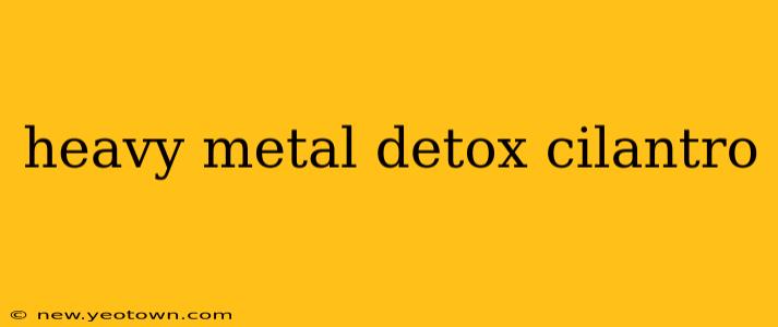 heavy metal detox cilantro
