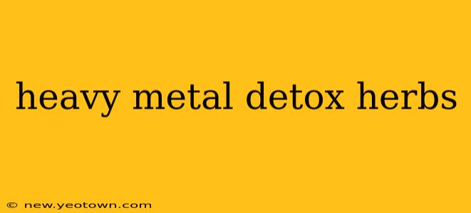 heavy metal detox herbs