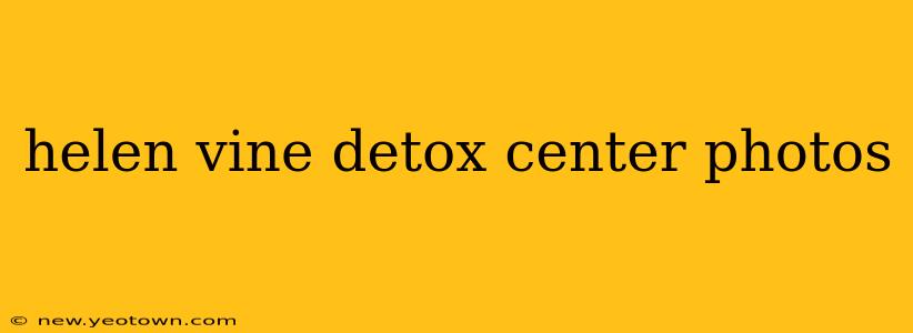 helen vine detox center photos