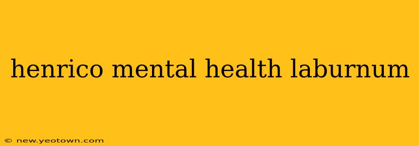 henrico mental health laburnum