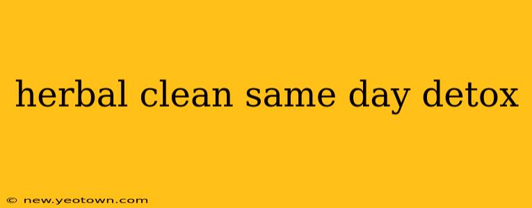 herbal clean same day detox