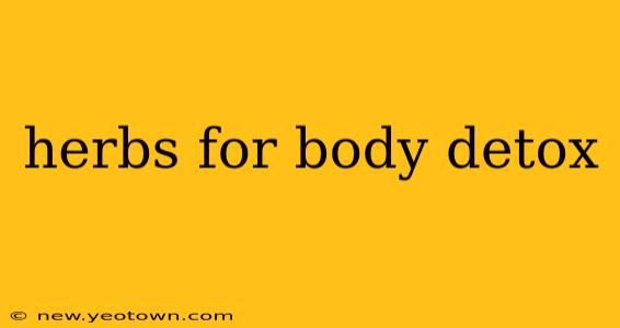 herbs for body detox