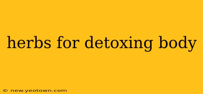 herbs for detoxing body