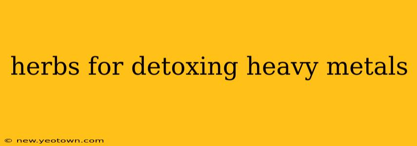 herbs for detoxing heavy metals