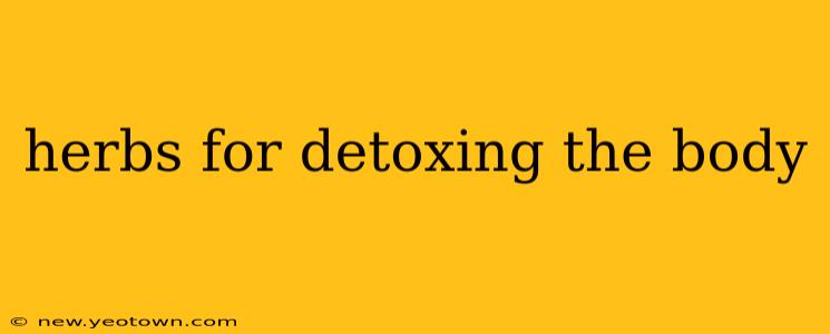 herbs for detoxing the body