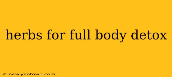 herbs for full body detox