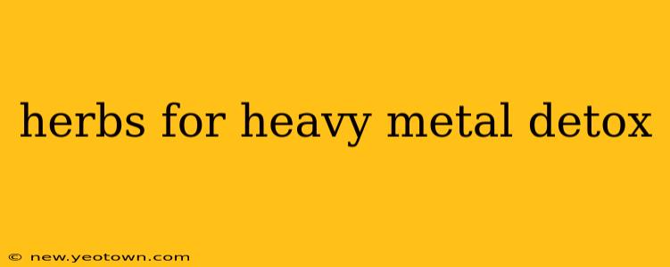 herbs for heavy metal detox