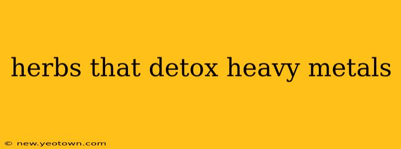herbs that detox heavy metals