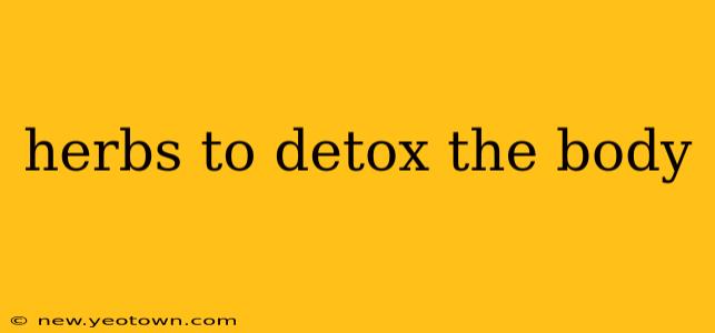 herbs to detox the body