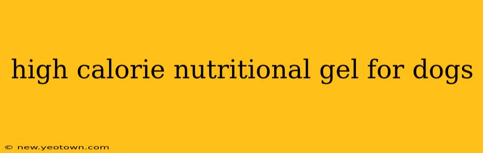 high calorie nutritional gel for dogs