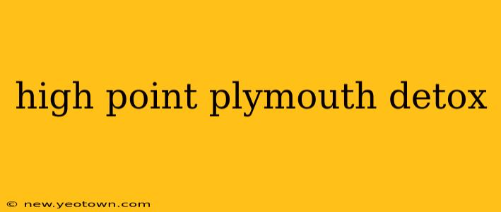 high point plymouth detox