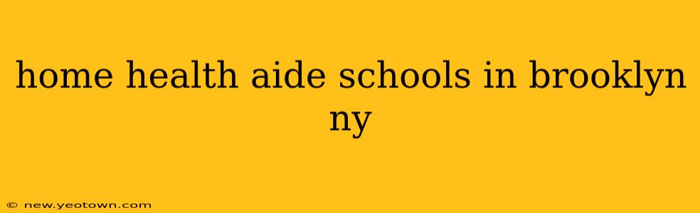 home health aide schools in brooklyn ny
