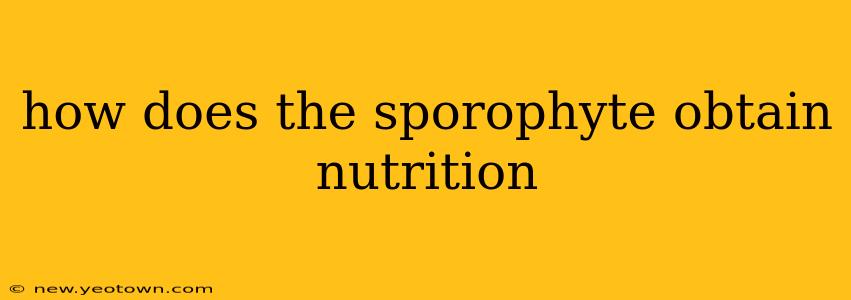 how does the sporophyte obtain nutrition