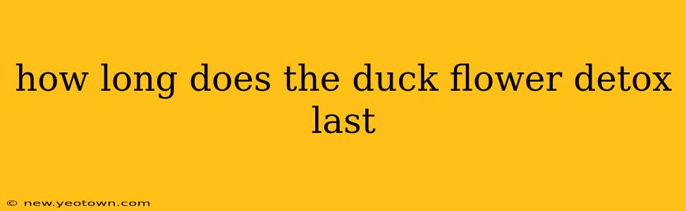 how long does the duck flower detox last