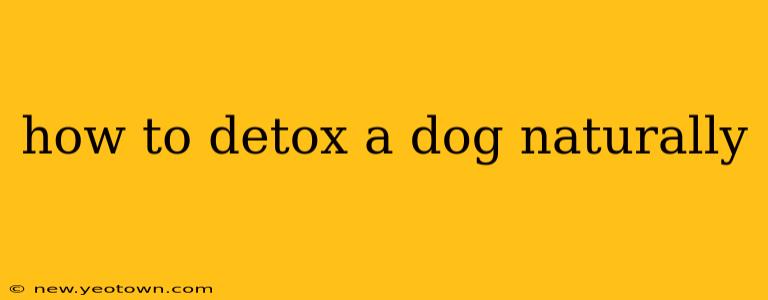 how to detox a dog naturally