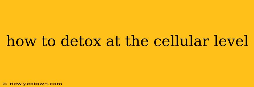 how to detox at the cellular level