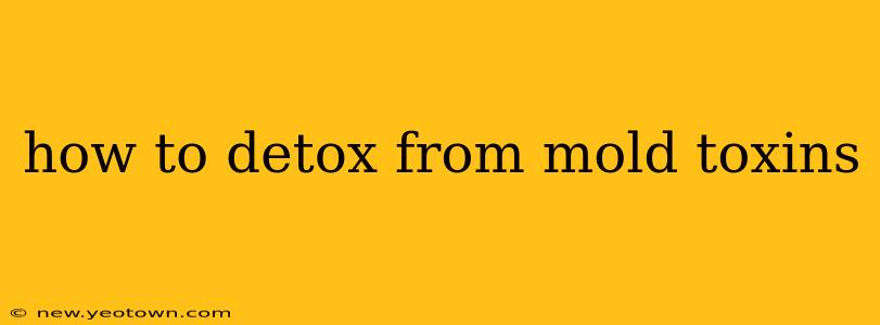 how to detox from mold toxins