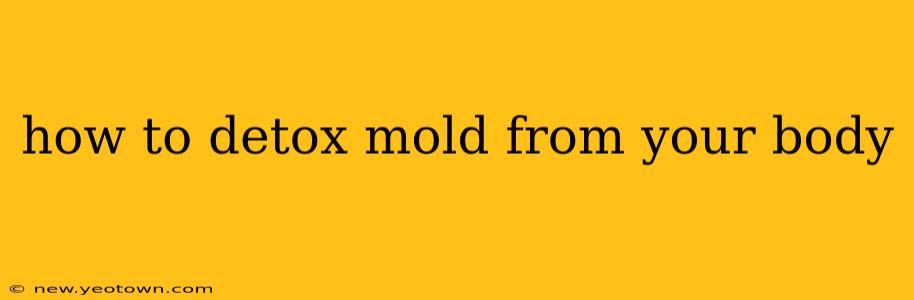 how to detox mold from your body