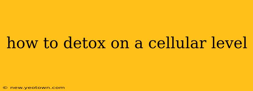 how to detox on a cellular level