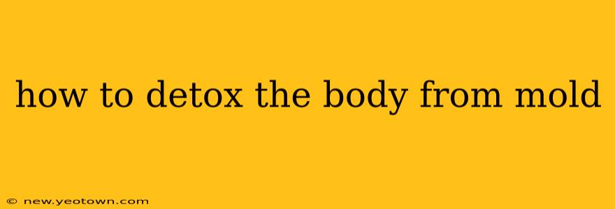 how to detox the body from mold