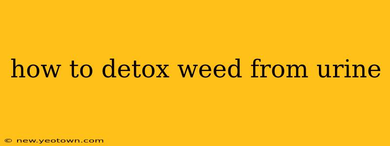 how to detox weed from urine