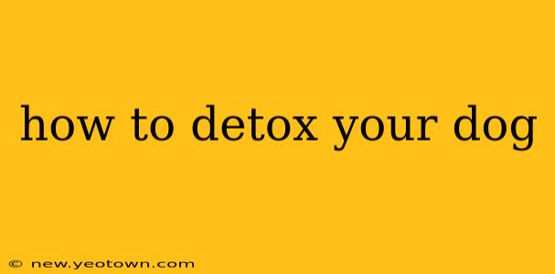 how to detox your dog