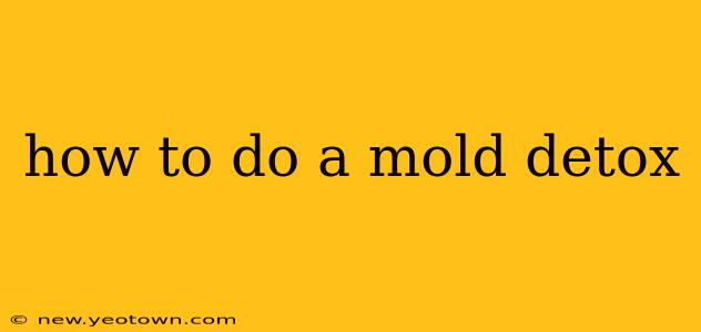 how to do a mold detox