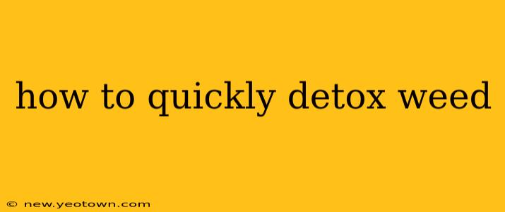 how to quickly detox weed