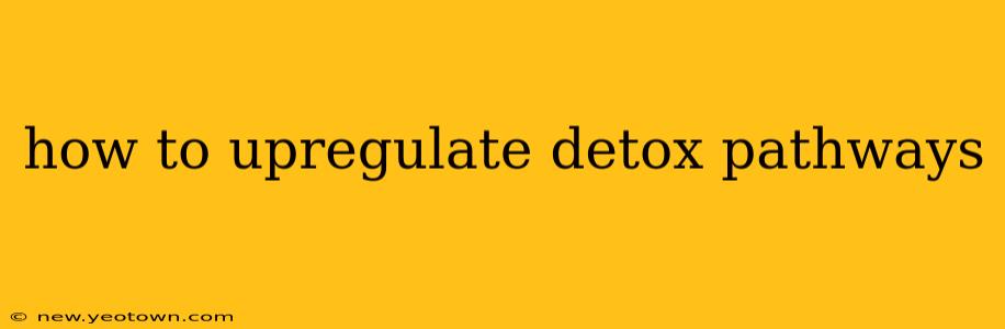 how to upregulate detox pathways