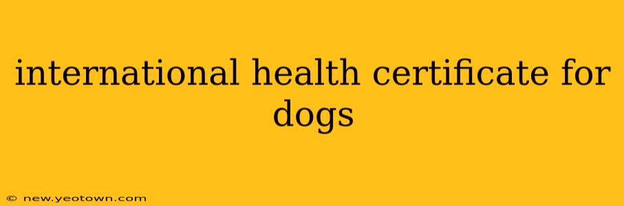 international health certificate for dogs