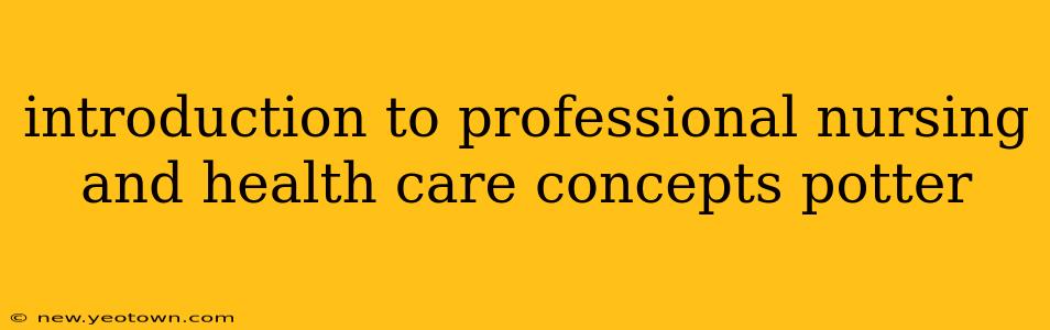 introduction to professional nursing and health care concepts potter