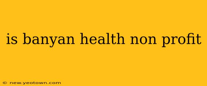 is banyan health non profit