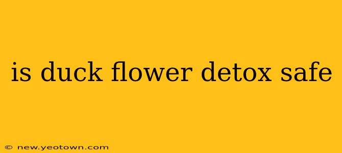 is duck flower detox safe
