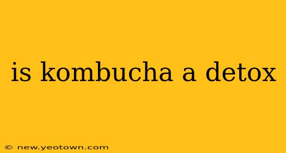 is kombucha a detox
