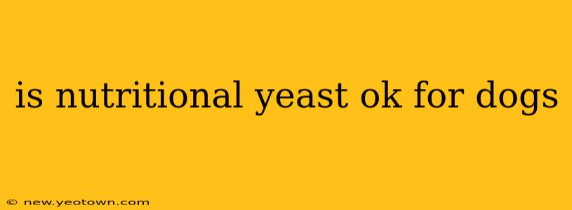 is nutritional yeast ok for dogs